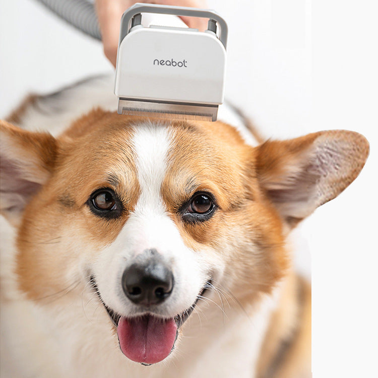 Professional Pet Grooming & Shaving Tool – Trim and Style at Home
