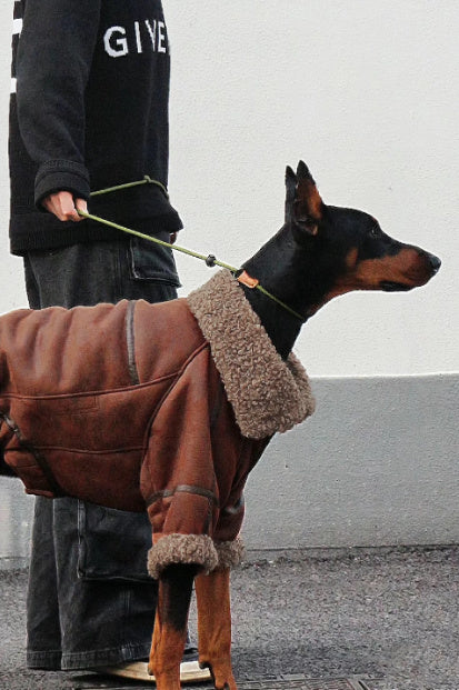 Winter Velvet Leather Dog Coat – Warm & Stylish for Large Dogs