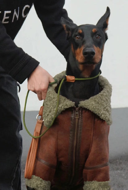 Winter Velvet Leather Dog Coat – Warm & Stylish for Large Dogs
