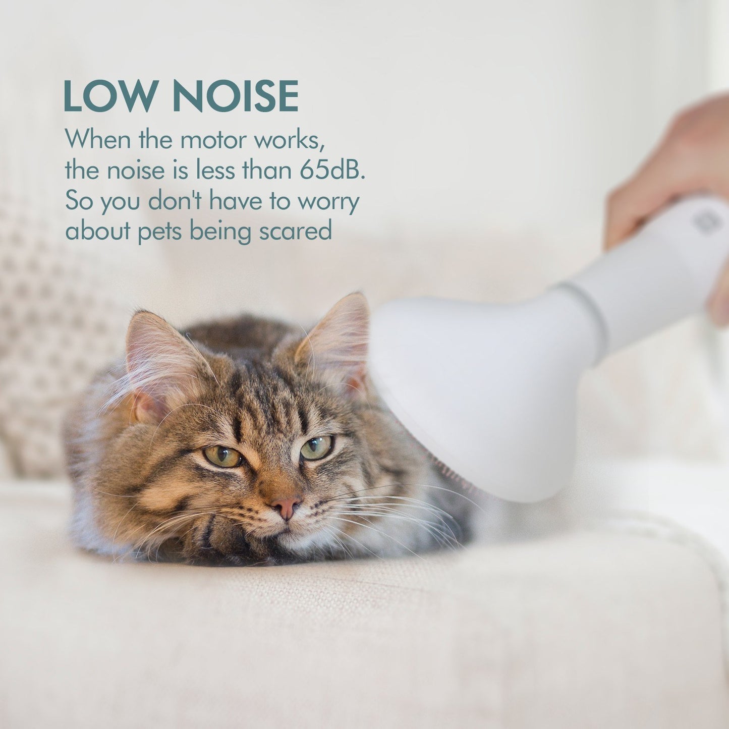 Professional Dog Hair Dryer with Slicker Brush – Groom Like a Pro