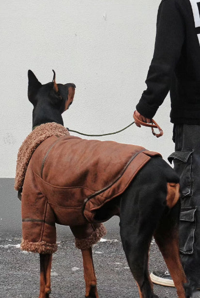 Winter Velvet Leather Dog Coat – Warm & Stylish for Large Dogs