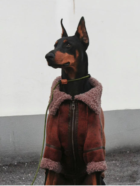Winter Velvet Leather Dog Coat – Warm & Stylish for Large Dogs