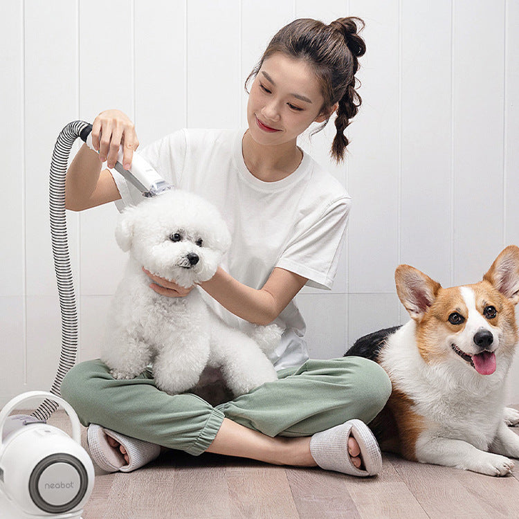 Professional Pet Grooming & Shaving Tool – Trim and Style at Home