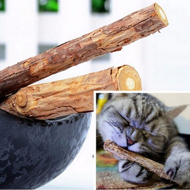 5pcs Cat Chew Toys with Catnip