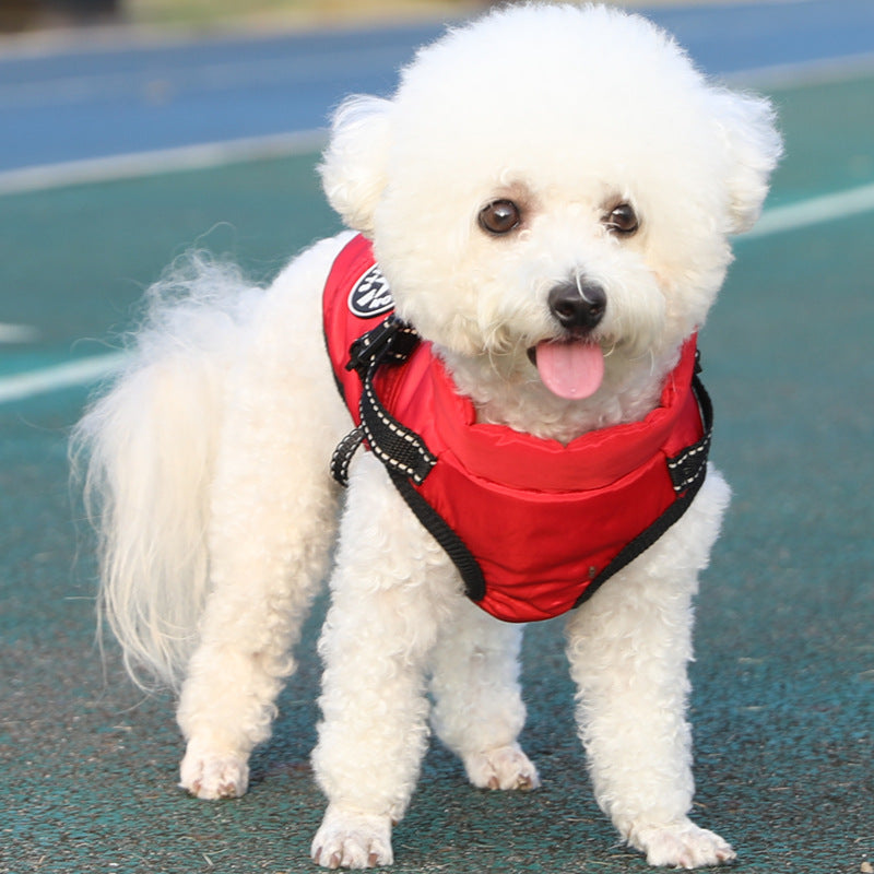 Dog Winter Jacket – Cotton & Thick Fleece for Cold Weather